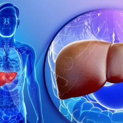 Liver Enzymes: A Silent Warning Sign for Health