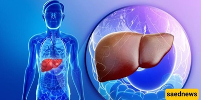 Liver Enzymes: A Silent Warning Sign for Health