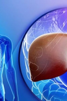 Liver Enzymes: A Silent Warning Sign for Health