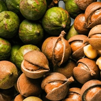 Raw vs. Roasted Macadamia Nuts: A Complete Comparison of Benefits, Flavor, and Nutritional Value