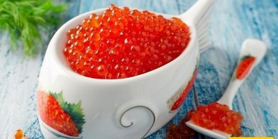 Amazing and Unique Beds Inspired by Red Caviar ✨ + Photos