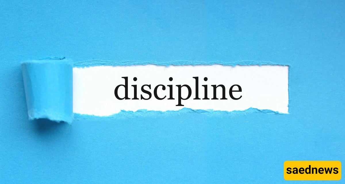 Discipline 