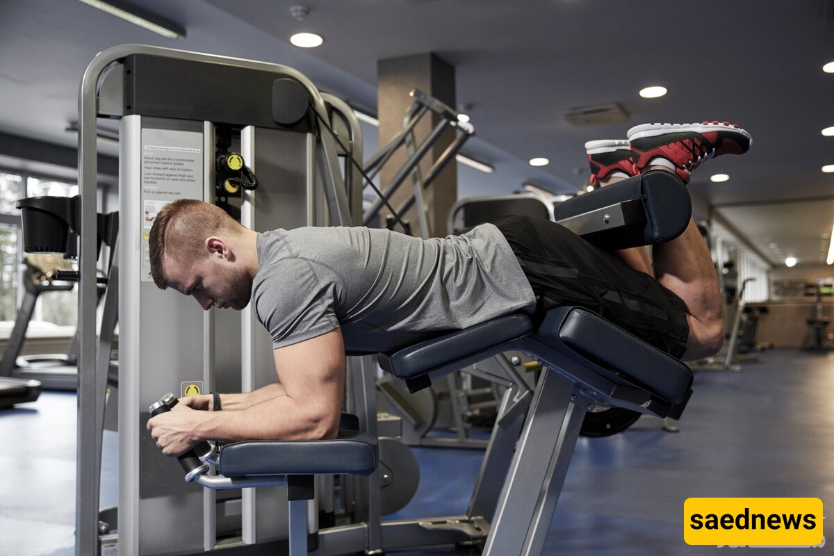 4 Leg Exercise Movements and Important Tips for Leg Curl Machine