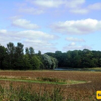 Treasure Hunter in England Discovers a Golden Amulet!