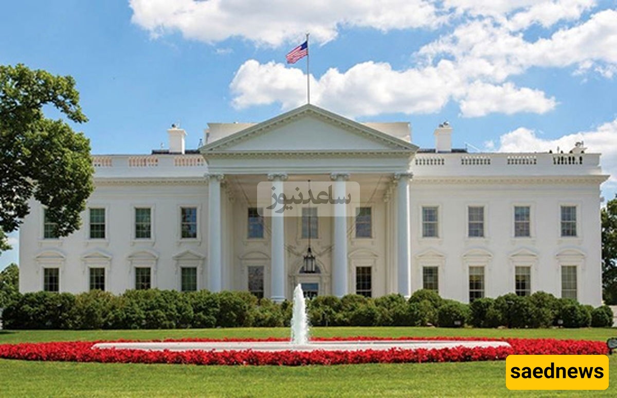 White House Shares Photo Titled ‘Peace from Power’ on X – Is This Image Peace or Oppression?