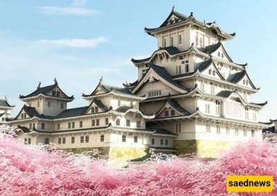 The Magnificent and Beautiful Himeji Castle in Japan