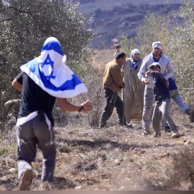 Israeli Aggression and Settler Attacks Threaten Palestinian Olive Harvest