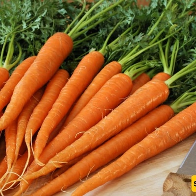 How to Store Carrots for Longer Freshness