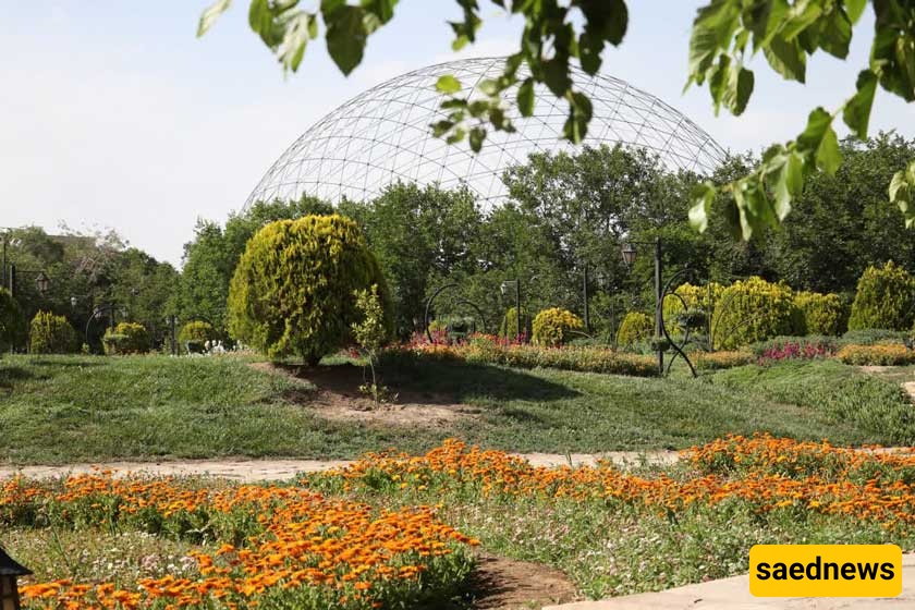 Mashhadd Garden