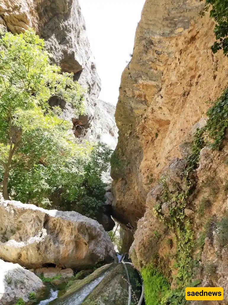 Shiraz Nature
