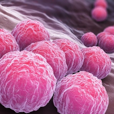 Best Treatment Methods for Genital Warts in Women and Men