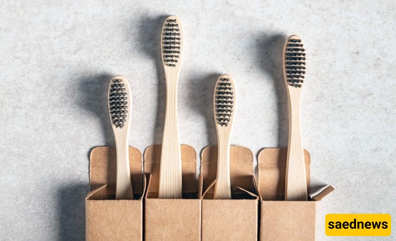 toothbrush