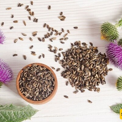 Milk Thistle Properties for Weight Loss