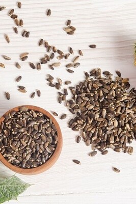 Milk Thistle Properties for Weight Loss