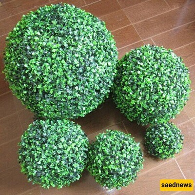 Step-by-Step Guide to Planting a Ball-Shaped Grass with a Sponge.