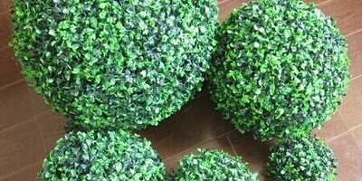 Step-by-Step Guide to Planting a Ball-Shaped Grass with a Sponge.