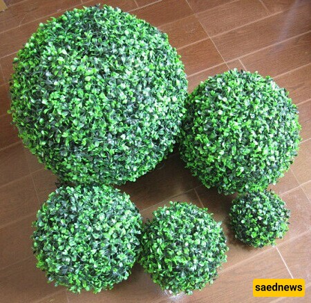 Step-by-Step Guide to Planting a Ball-Shaped Grass with a Sponge.