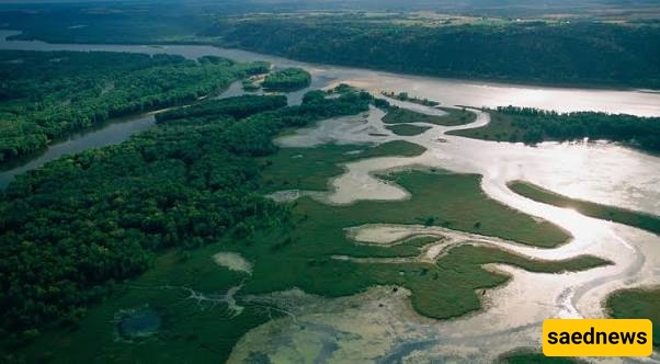 The Mississippi River