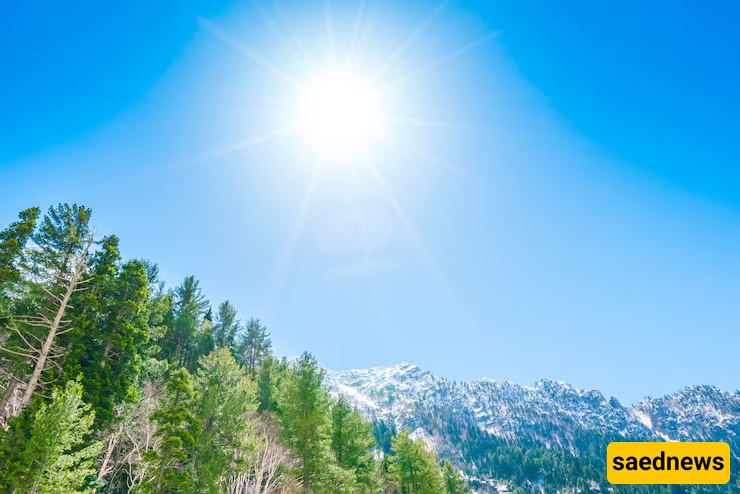 Sunny Weather