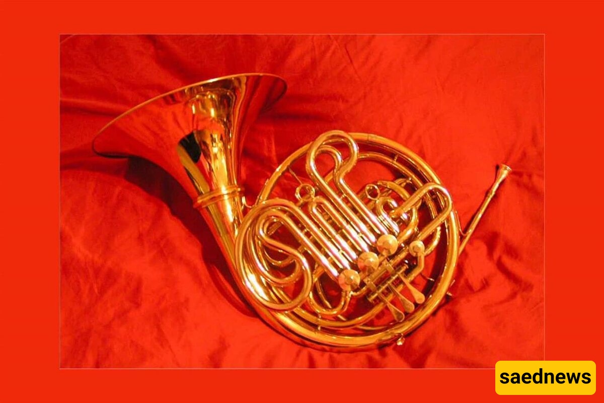 A Complete Introduction to the Horn Instrument 📯