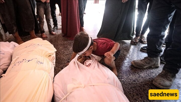Israeli Army Kills 29 Palestinians in Gaza in Past 24 Hours
