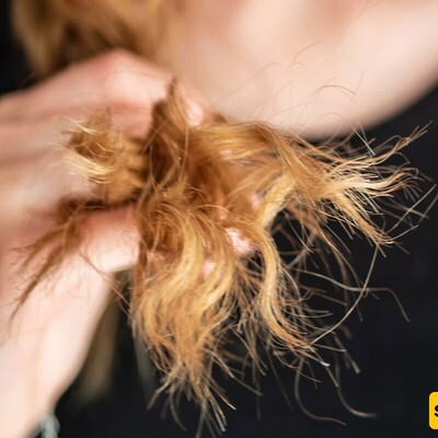 Eliminate Split Ends with These 6 Natural Oils | Hair Health and Beauty