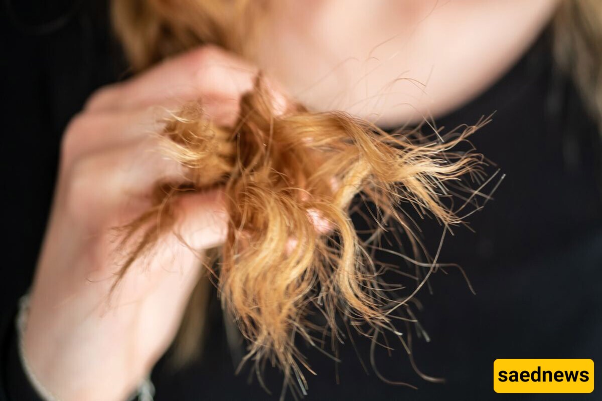 Eliminate Split Ends with These 6 Natural Oils | Hair Health and Beauty