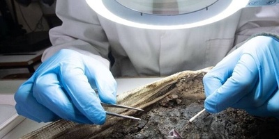 Stunning Jewelry Discovered in a 1,300-Year-Old Tomb