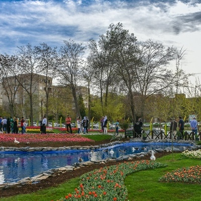 Arak: Where Mountains Meet Desert Beauty