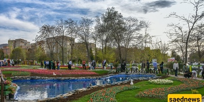 Arak: Where Mountains Meet Desert Beauty