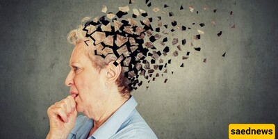 How To Prevent Alzheimer's?