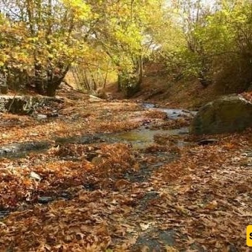 Mayan Village in Torqabeh, Mashhad: A Hidden Gem for Nature Exploration