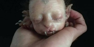 The Birth of a Bizarre Creature: Human Face, Cat’s Body [Photo]