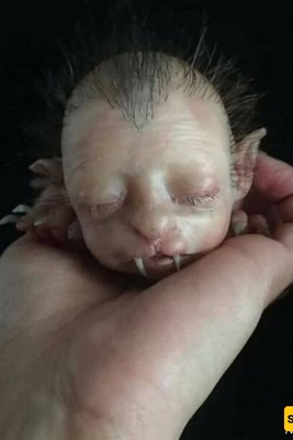 The Birth of a Bizarre Creature: Human Face, Cat’s Body [Photo]