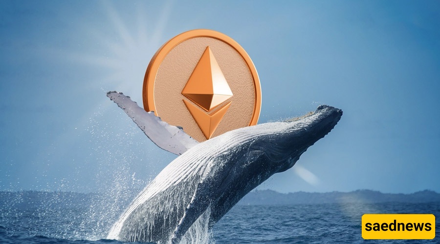Whales Return to Ethereum Amid Major Fosaca Upgrade: Is a New Bull Run Starting?