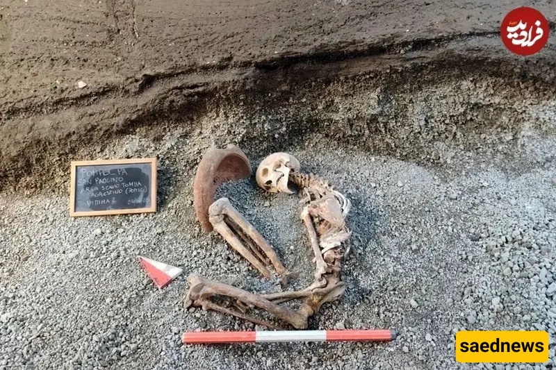 Skeleton of a Man