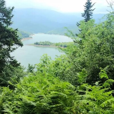 Lafour Forest of Mazandaran: A Travel Guide to a Pristine Paradise