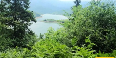 Lafour Forest of Mazandaran: A Travel Guide to a Pristine Paradise