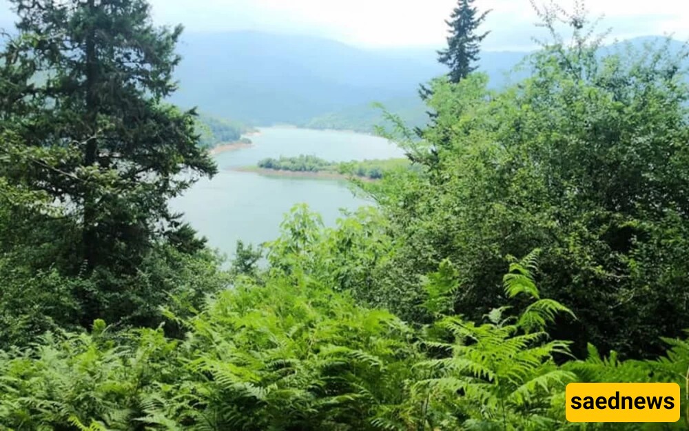 Lafour Forest of Mazandaran: A Travel Guide to a Pristine Paradise