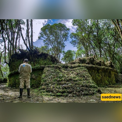 Archaeologists Just Revealed 100+ Lost Structures in the Clouds! The Chachapoya Site That Changes Peruvian History