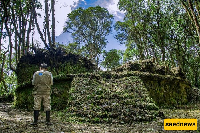 Archaeologists Just Revealed 100+ Lost Structures in the Clouds! The Chachapoya Site That Changes Peruvian History