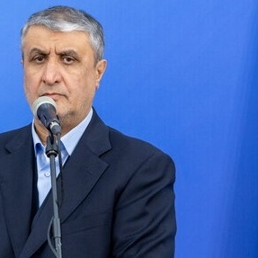 Iran's Nuclear Chief urges IAEA to Condemn Israeli Terrorism