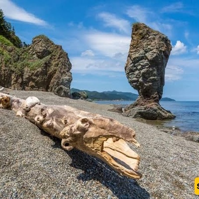 Everything You Need to Know About Iturup Island in Russia