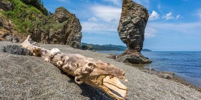 Everything You Need to Know About Iturup Island in Russia