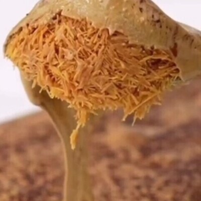 Make Arabic dessert with coffee flavor without an oven and in just three steps + step-by-step video