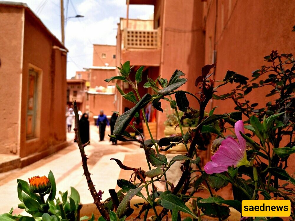 The Amazing Historical Village of Harit and Sorkh in Natanz; Abyaneh, the lost Paradise in Isfahan Province and a Peaceful Destination for Tourists + photos.