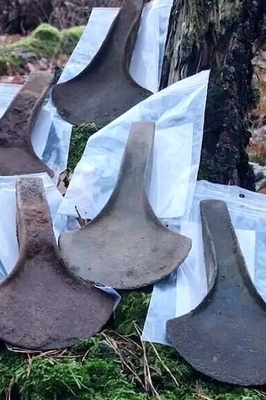 Unexpected Hoard of Ancient Axes Discovered by a Treasure Hunter in Poland