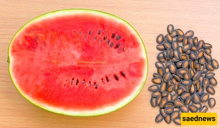 Watermelon Seeds