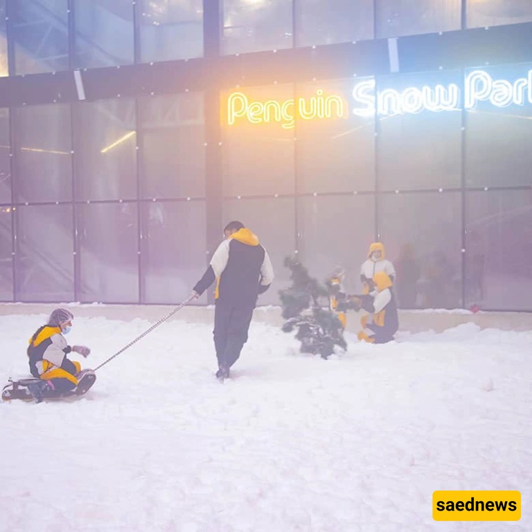 Penguin Snow Park, kish
