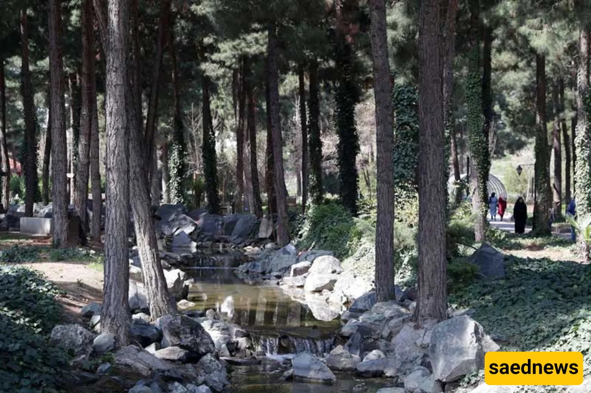 mashahd garden